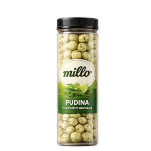Pudina Makhana